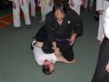 2008.04.11...13 - Hakko Ryu Jujitsu seminar.